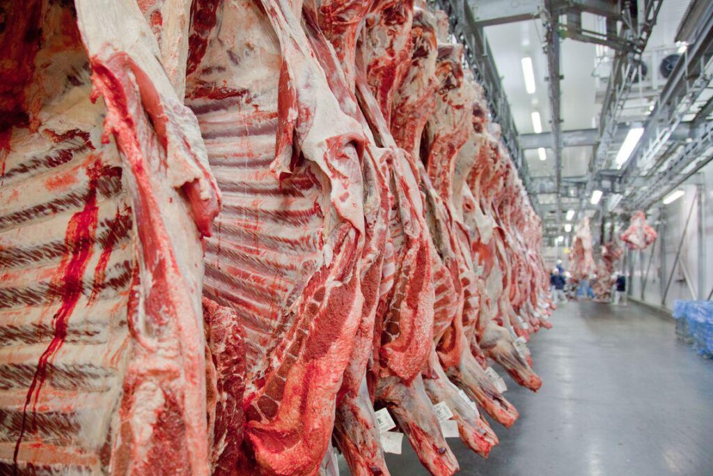 Exportações de carne bovina caem  25,5% em agosto, mas acumulado do ano ainda é positivo