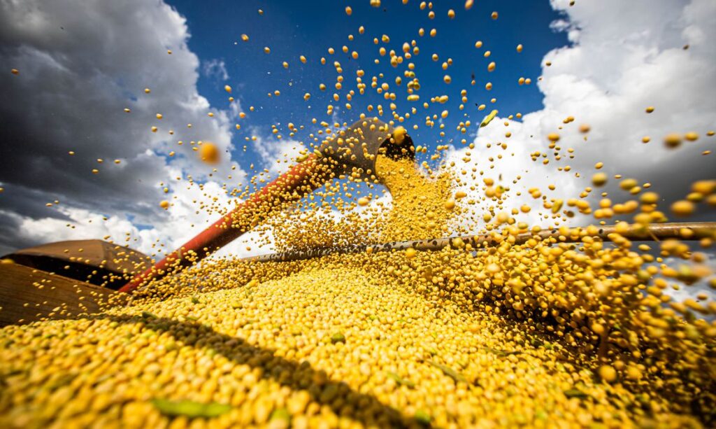 Prorrogação de dívidas dos produtores do RS é aprovada pelo governo