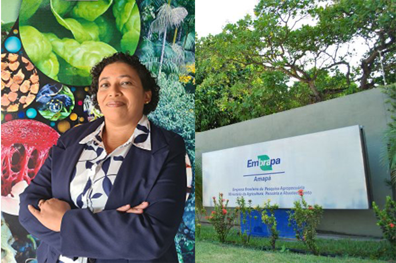 Candidata a Chefe-Geral da Embrapa Amapá apresenta plano de trabalho