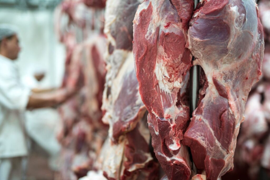 Brasil já iniciou produção de carne bovina para ser exportada para China em 2027, diz Abiec