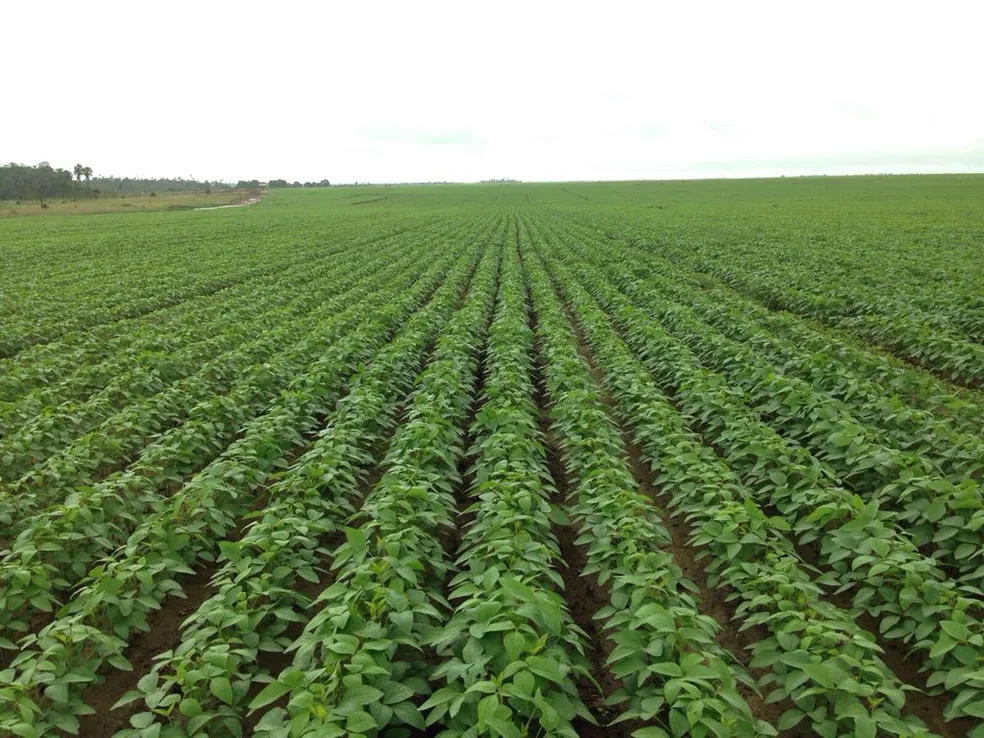 Ações de regularização fundiária para 2026 são destaques em programa de rádio do Tjap