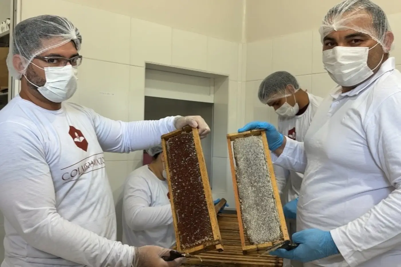 Mel produzido no Amapá ganha força como símbolo de qualidade e resistência