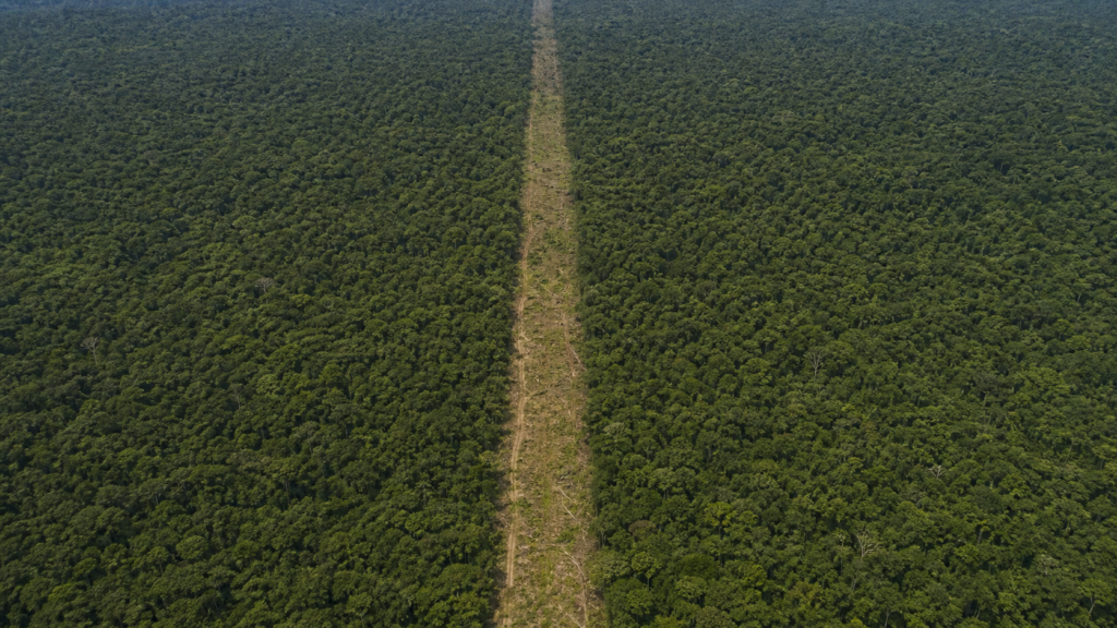 Câmara aprova projeto que reduz área da Flona do Jamanxim para passagem da Ferrogrão