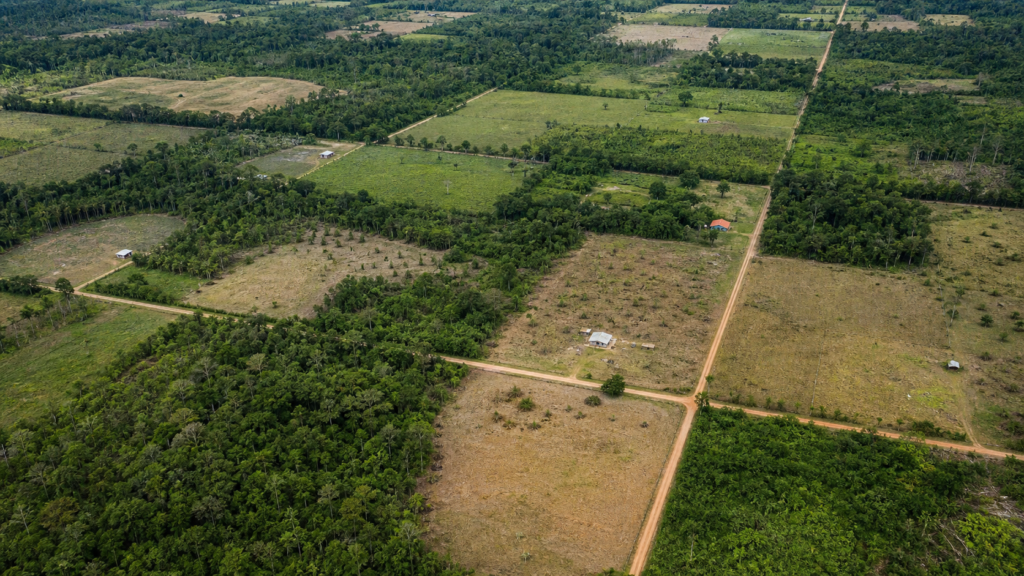 Paraná terá quatro novos assentamentos com 32 mil hectares