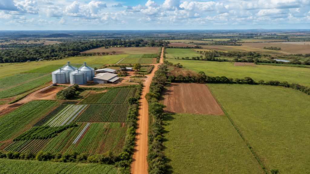 Lula lança Plano Safra da Agricultura Familiar nesta terça em Brasília