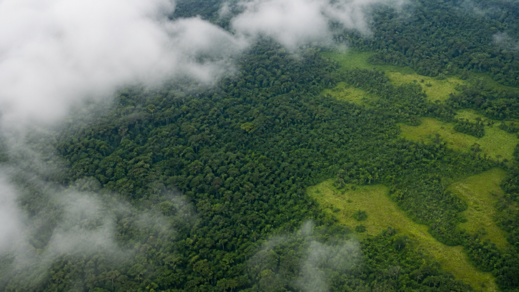 Sessão na Câmara debate desmatamento, licenciamento e projetos com efeito sobre o uso da terra