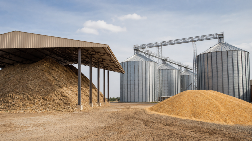 Custo menor da alimentação sustenta margens do confinamento no 3º trimestre