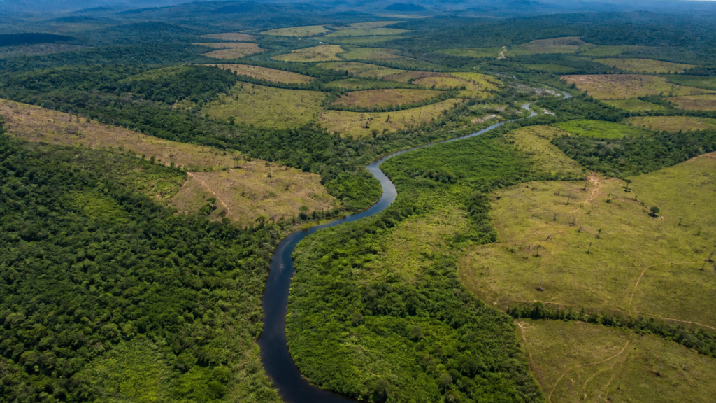 Terras indígenas da Amazônia somam 1,79 milhão de hectares com potencial de restauração