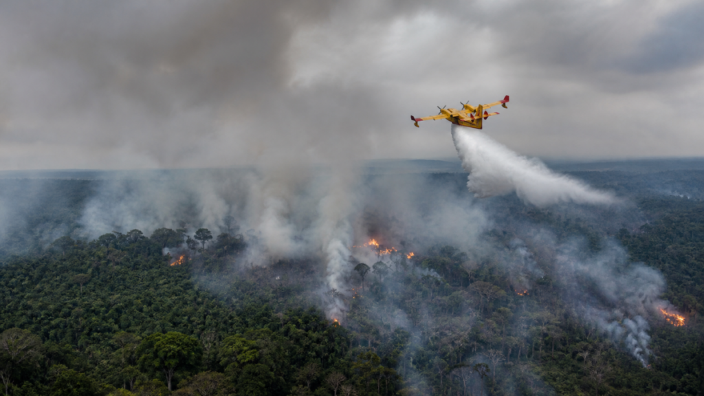 Emergência no Amazonas libera apoio federal contra queimadas